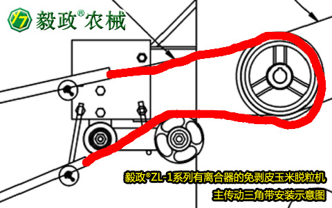 毅政牌ZL1系列有離合器的免剝皮玉米脫粒機(jī)，主傳動(dòng)三角帶正確安裝